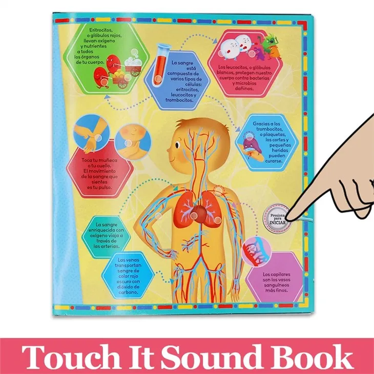 Human Body Learning Medical Sound Book For Kids