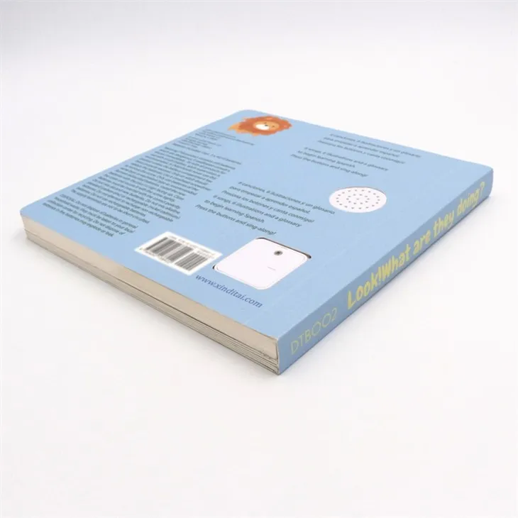 Little Book Of Garden Bird Songs Loudly Volume