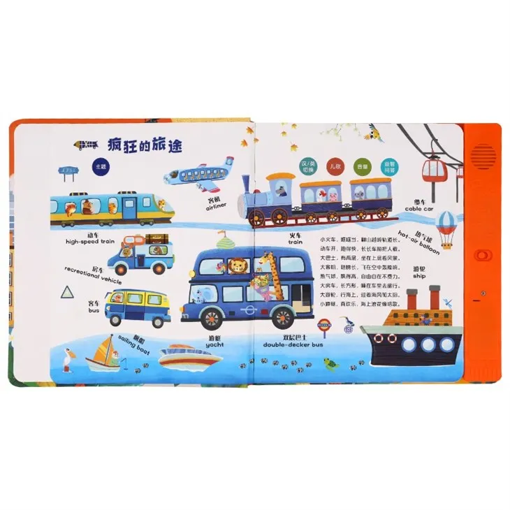 Record Your Voice Books For Your Personal Customization